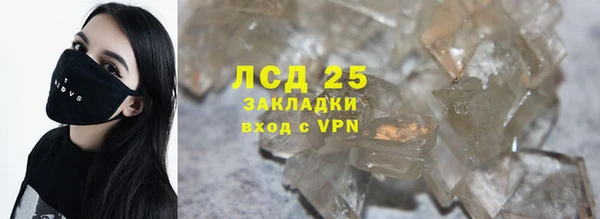 стафф Алзамай