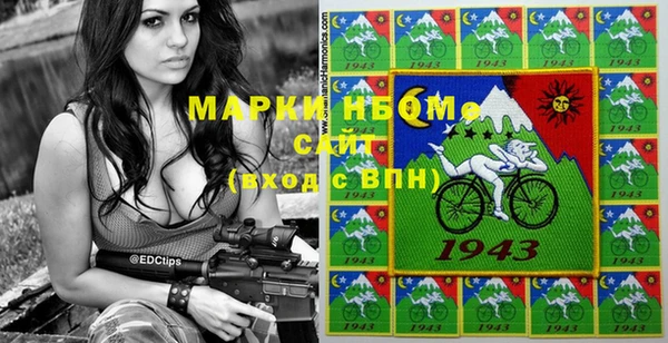 стафф Алзамай