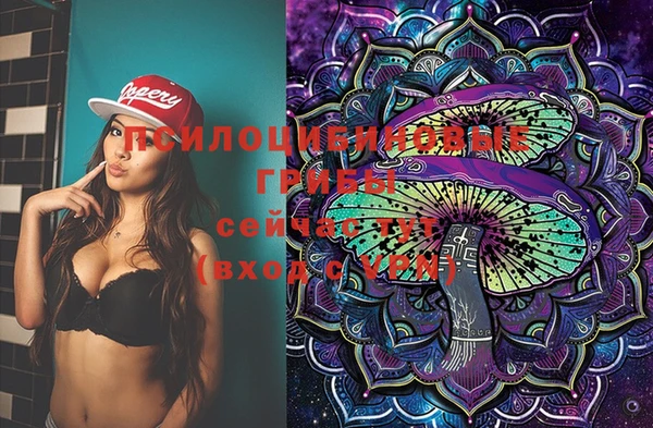 ПСИЛОЦИБИНОВЫЕ ГРИБЫ Абаза
