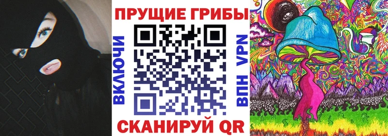KRAKEN ТОР  Кирсанов  Галлюциногенные грибы Psilocybine cubensis 